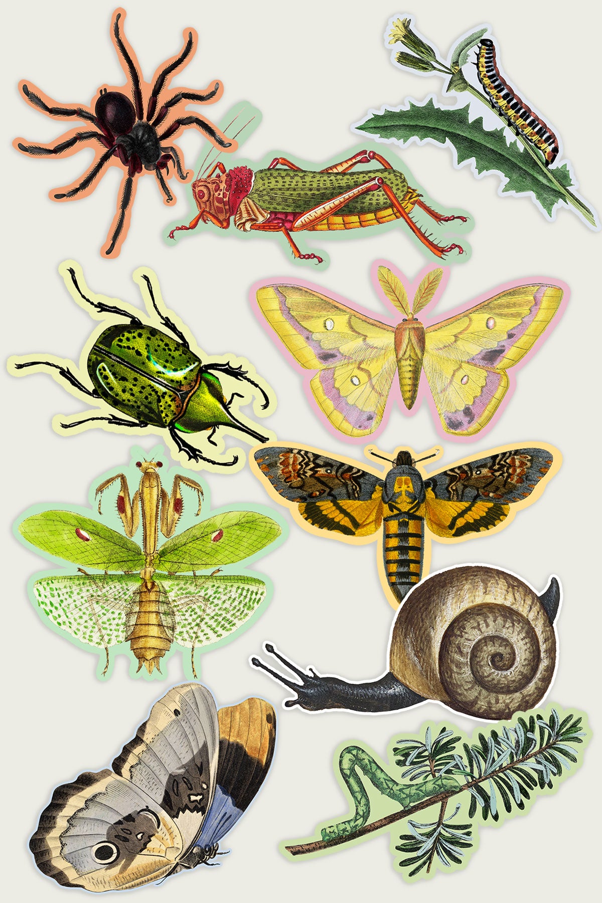 Sticker Bundle: Gap Filler Bug Babies