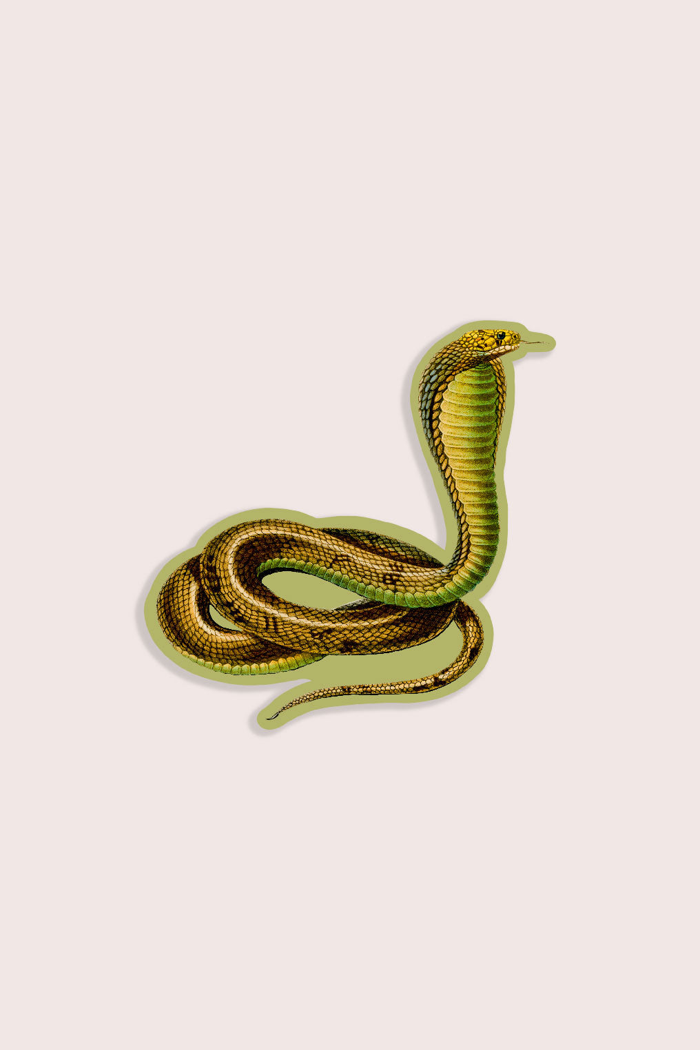 Nature animal sticker featuring a cobra snake