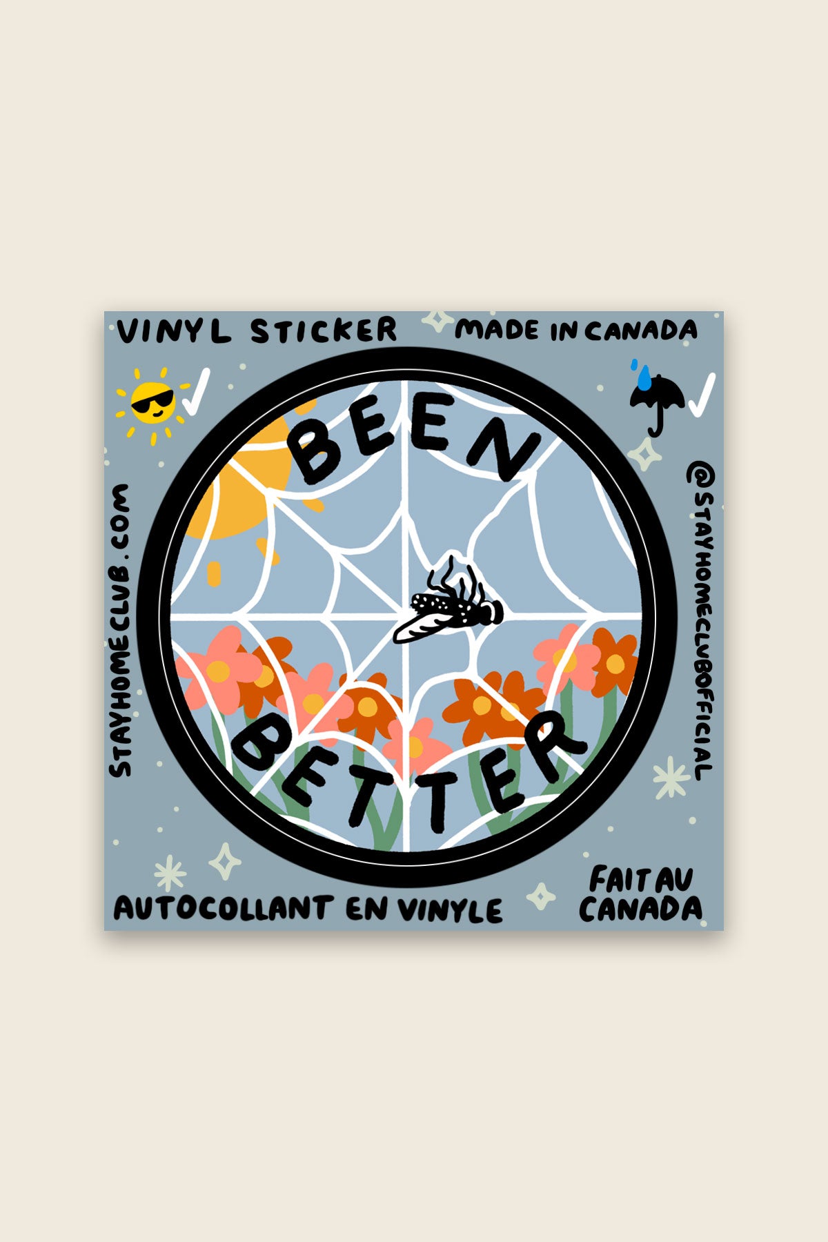 Been Better (Spiderweb) Vinyl Sticker