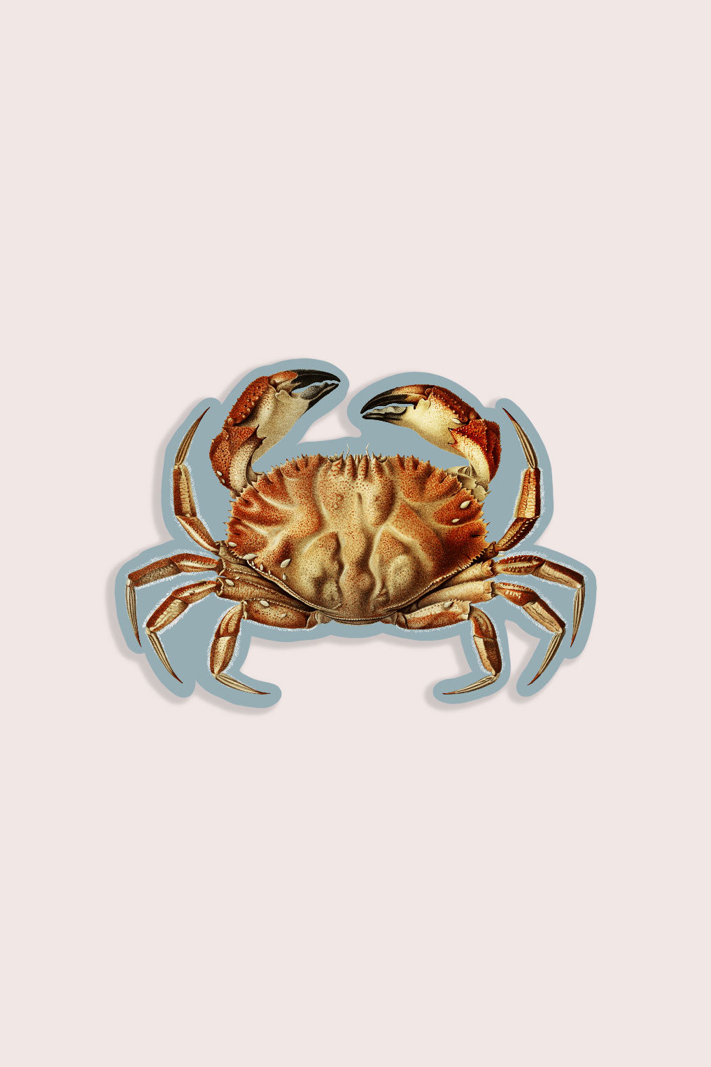 Nature animal sticker of a crab
