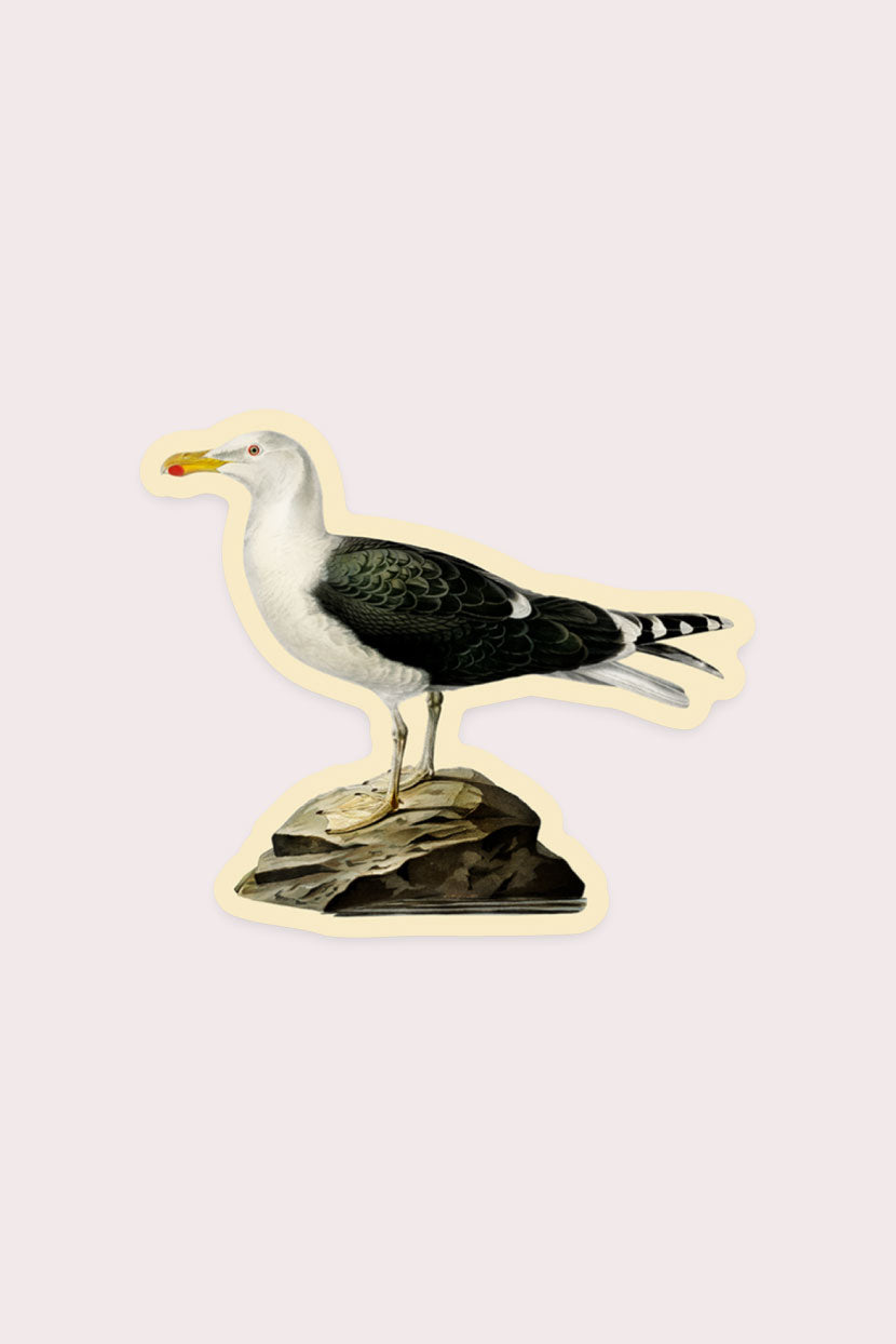 Dismayed Gull - Gap Filler Sticker