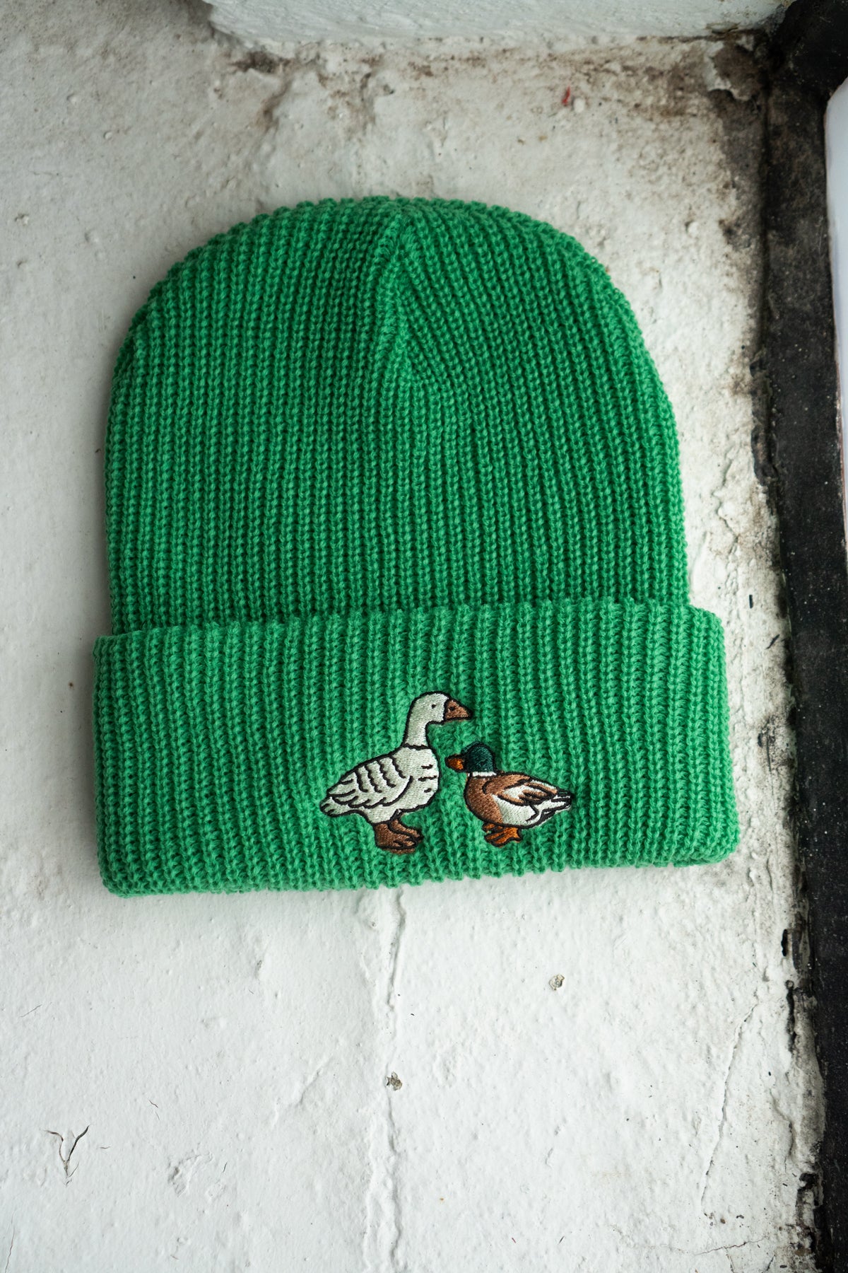 Fowl Shaker Stitch Beanie | Clover