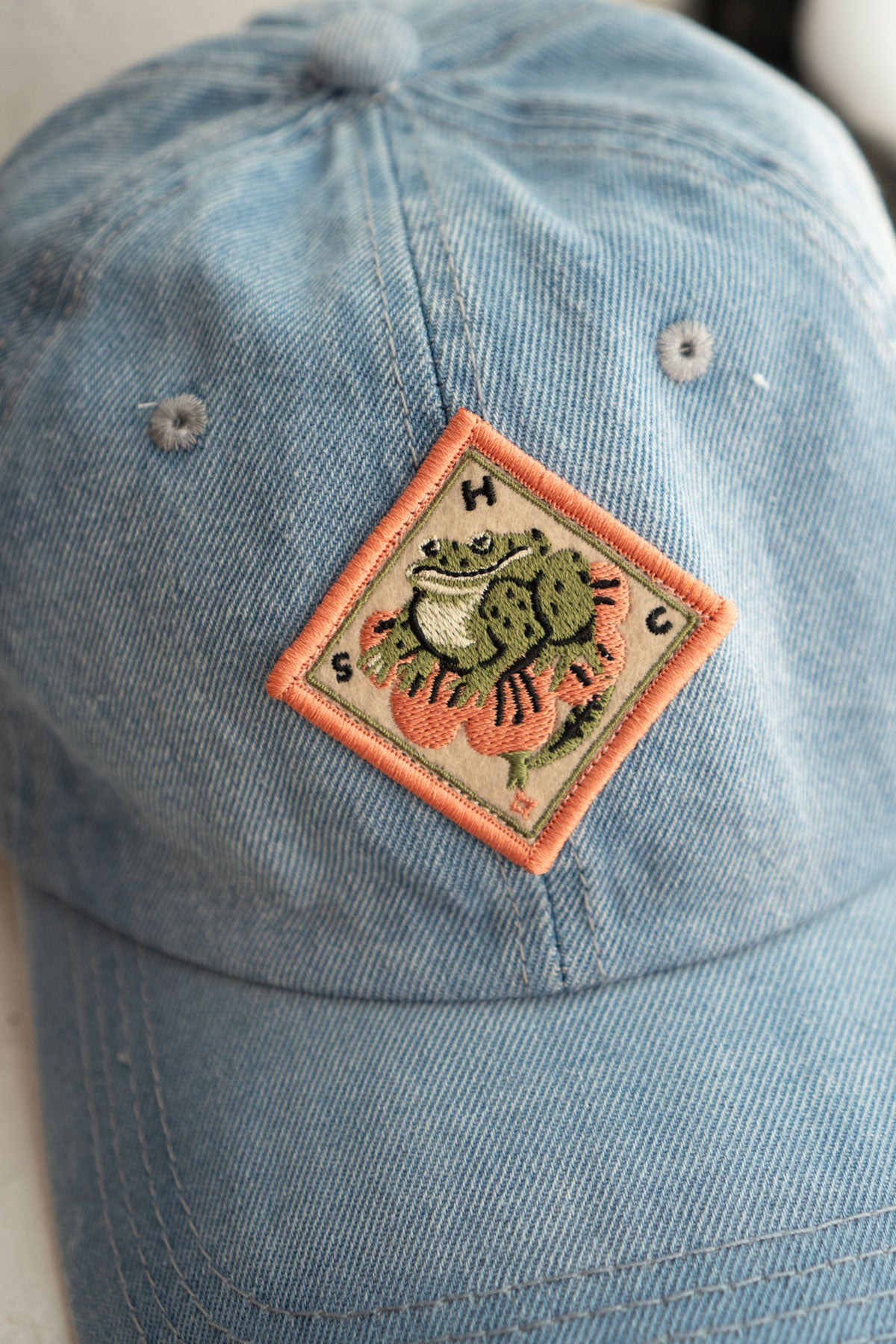 Day Off Denim Cap - Special Edition