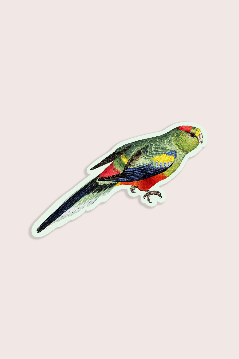 Petulant Parakeet - Gap Filler Sticker