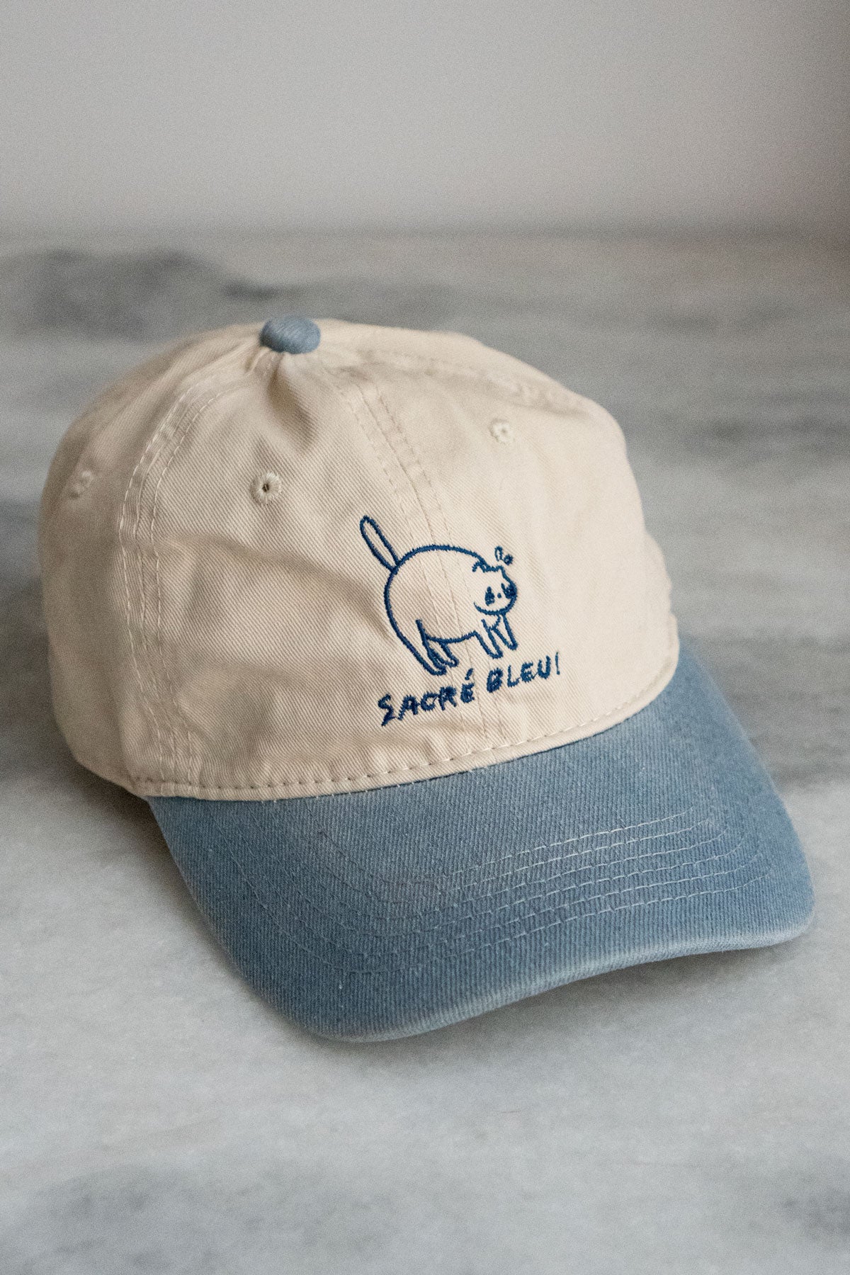 Sacré Bleu Two-Tone Dad Hat