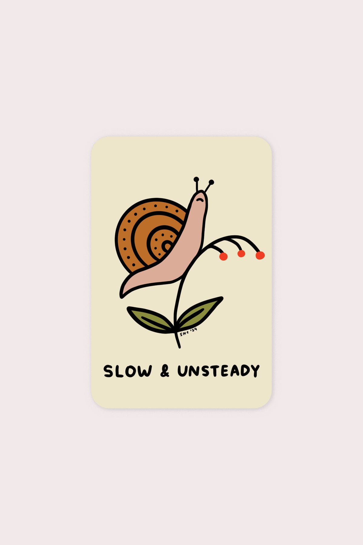 Slow and Unsteady Vinyl Sticker