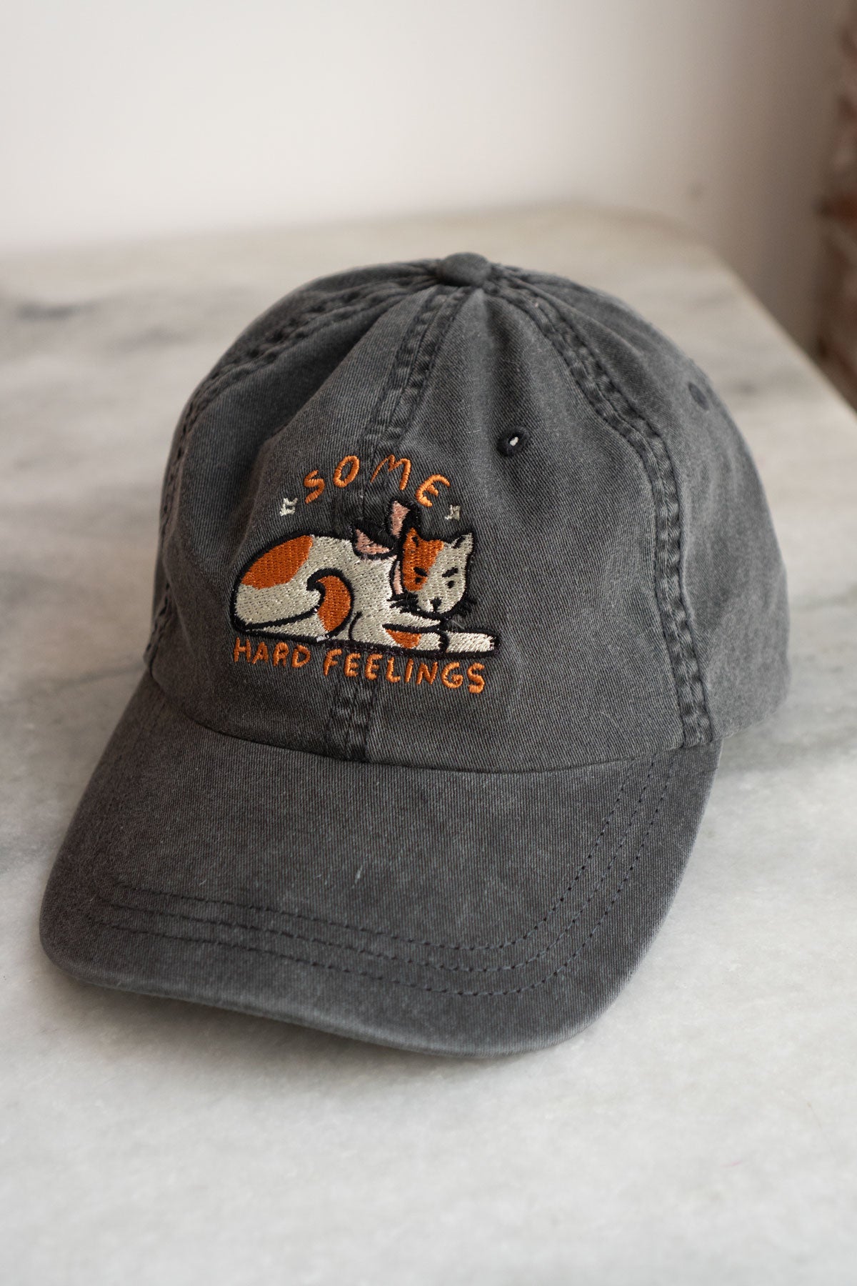 Some Hard Feelings  Dad Hat