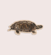 Vintage terrapin turtle illustration sticker