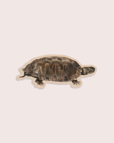 Vintage terrapin turtle illustration sticker