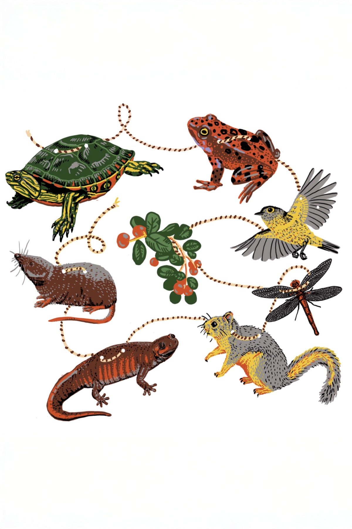 PNW Wetland - Paper Garland