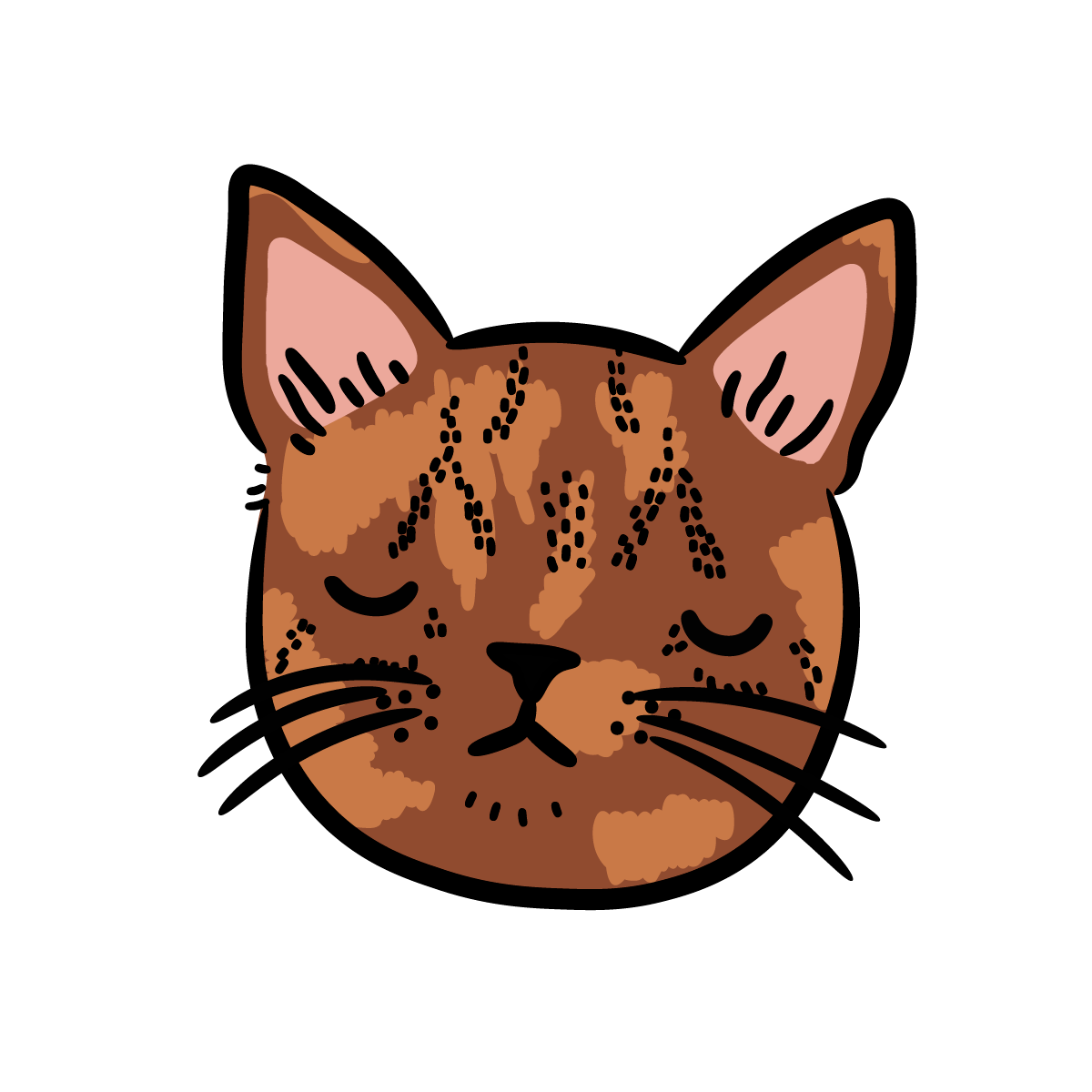 Cat Character