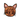 Cat Character