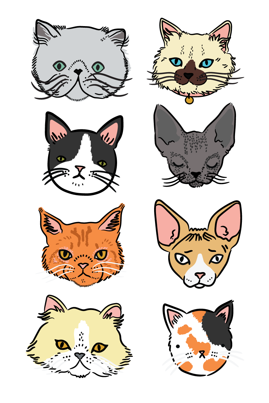 Cat Character