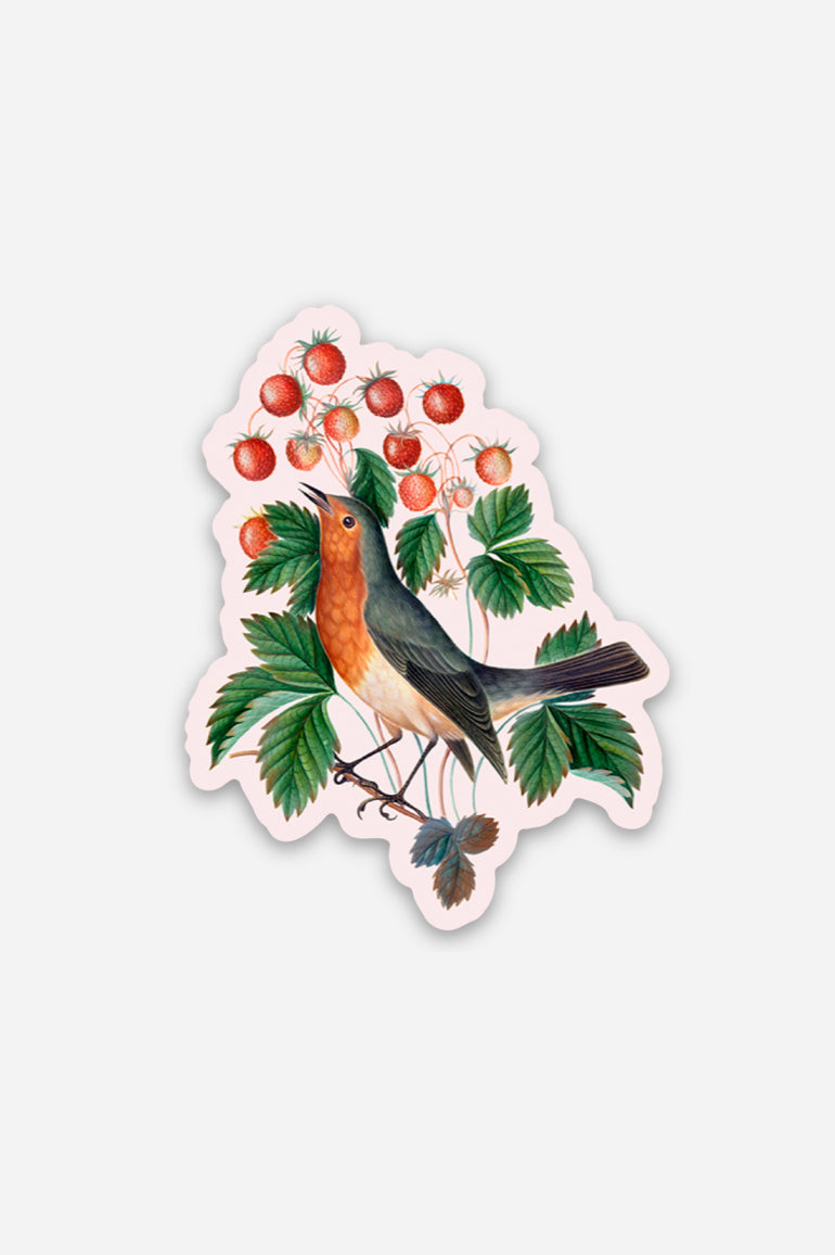 Determined Robin - Gap Filler Sticker