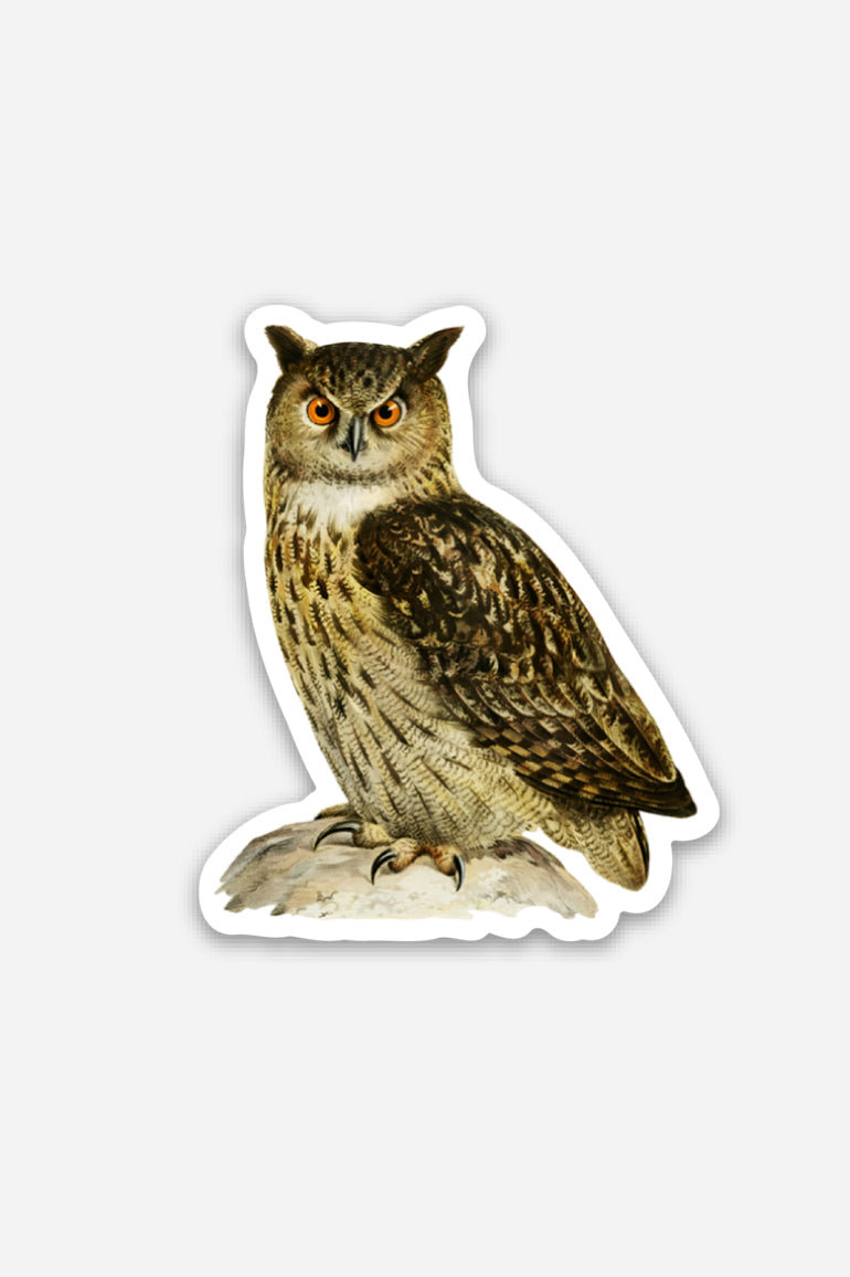 Disgusted Owl - Gap Filler Sticker