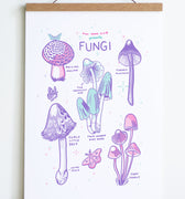 drawing in light purple pink and blue of mushrooms with text that reads stay home club presents  fungi at top and small text rotting mound flouncy fuckface fart family etc